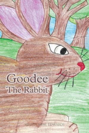 Cover of the book Goodee the Rabbit by Darya Shere