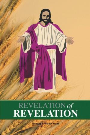 Cover of the book Revelation of Revelation by Mark J. Curran