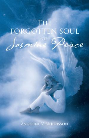 Cover of the book The Forgotten Soul of Jasmine Peirce by JS Delaney