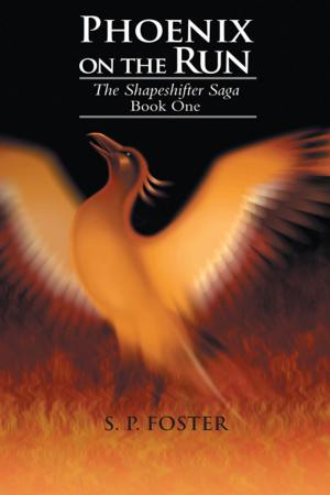 Cover of the book Phoenix on the Run by Kim Stewart