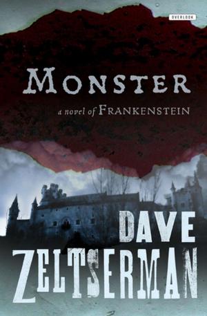 Cover of the book Monster by Stef Wertheimer