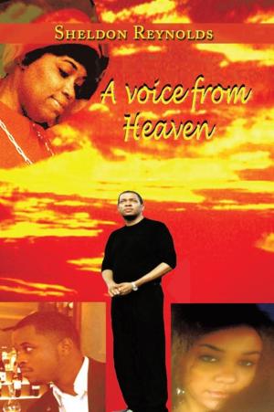 Cover of the book A Voice from Heaven by Tiffany E. Belongia