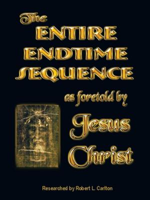 Cover of the book The Entire Endtime Sequence by Afam Nnabuchi