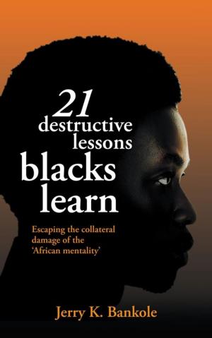 Cover of the book 21 Destructive Lessons Blacks Learn by Janet M. Irvine