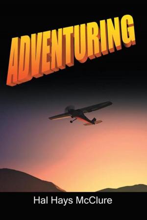 Cover of the book Adventuring by Carrolyn Pichet