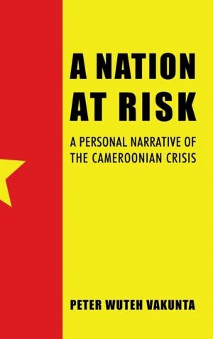 Cover of the book A Nation at Risk by Roger Bullard