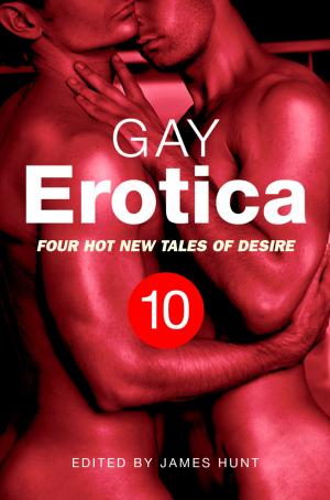 Cover of the book Gay Erotica, Volume 10 by Elizabeth Jeffrey