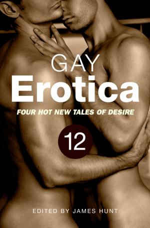 Book cover of Gay Erotica, Volume 12