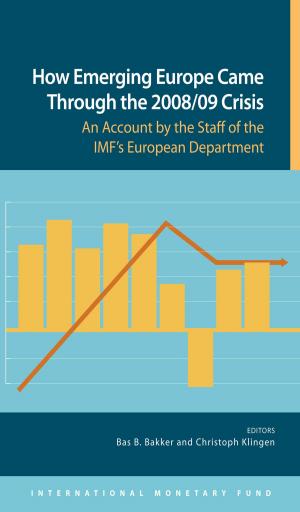 bigCover of the book How Emerging Europe Came Through the 2008/09 Crisis: An Account by the Staff of the IMF's European Department by 