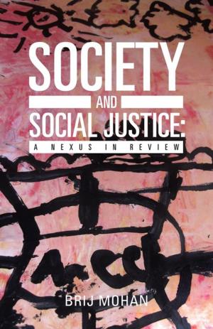 Cover of the book Society and Social Justice: a Nexus in Review by David Levy