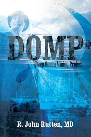 Cover of the book Domp by Joel Pierson