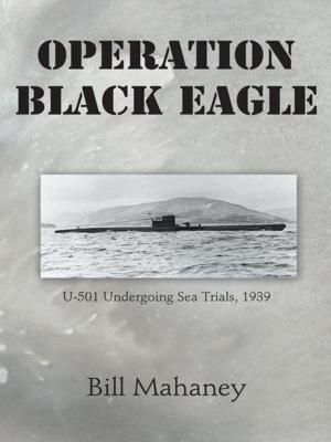 Cover of the book Operation Black Eagle by Deji Badiru