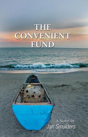 Book cover of The Convenient Fund