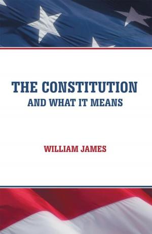 Book cover of The Constitution and What It Means