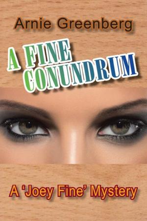 Cover of the book A Fine Conundrum by John Stamos Parrish