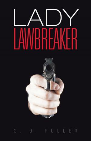 Cover of the book Lady Lawbreaker by Dr. Arthur C. Ellison  PH.D. MPH, Dr. Jeanette A. Bevilacqua ARNP ED. D