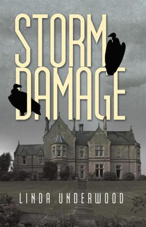 Cover of the book Storm Damage by Alan Refkin, Daniel Borgia PhD