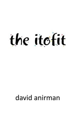 Cover of the book The Itofit by Malcolm Chester