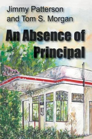 Cover of the book An Absence of Principal by Anne Burnside
