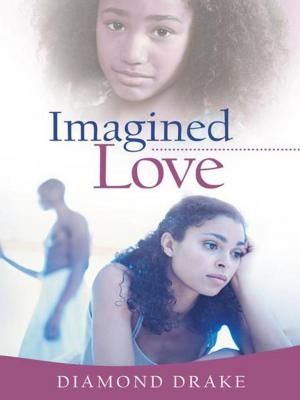 Cover of the book Imagined Love by Ilona Salley