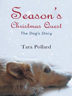 Cover of the book Season's Christmas Quest by Eunice D. Colvin