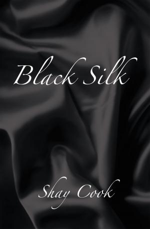 Cover of the book Black Silk by Doug Taylor