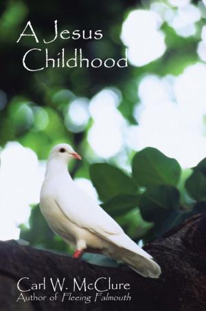 Cover of the book A Jesus Childhood by Michael H. Fulkerson LPCC