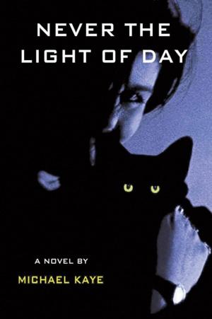 Cover of the book Never the Light of Day by Steven J. Zevitas