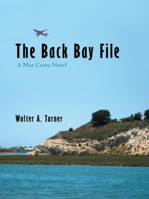 Cover of the book The Back Bay File by LaJuan Simon