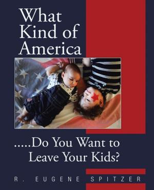Cover of the book What Kind of America by Gerry Burke