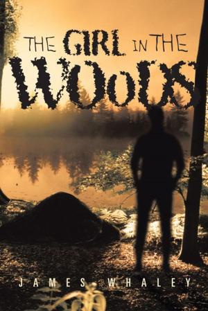 Book cover of The Girl in the Woods