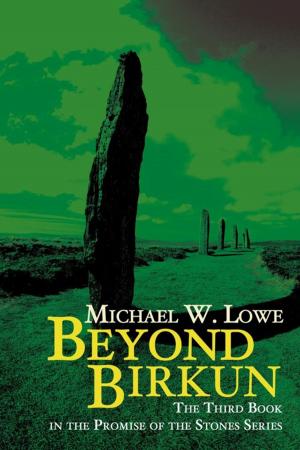 Cover of the book Beyond Birkun by Patricia Hilliard