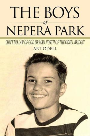 Book cover of The Boys of Nepera Park