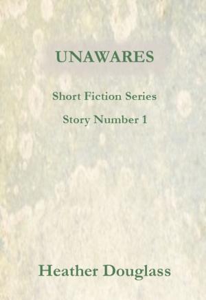 Cover of the book Unawares by Dave Conifer