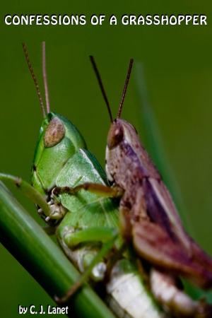 Book cover of Confessions of a Grasshopper