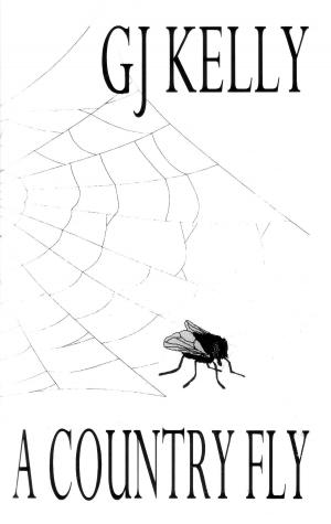 Cover of A Country Fly