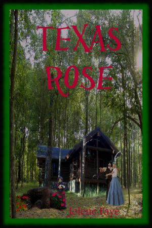 Cover of the book Texas Rose by Anita Oh