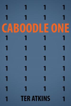 Cover of the book Caboodle One by J. Schlenker