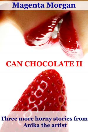 Book cover of Can Chocolate II: (Three more horny stories from Anika the Artist)