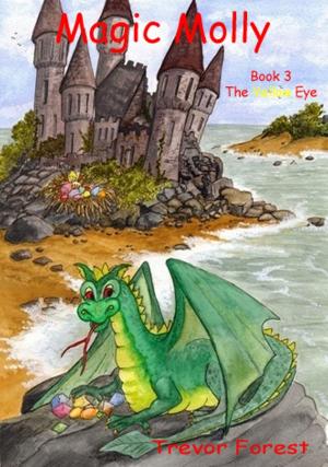 Book cover of Magic Molly book three The Yellow Eye