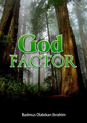 Cover of THE GOD FACTOR by Badmus Ibrahim Olalekan, Badmus Ibrahim Olalekan