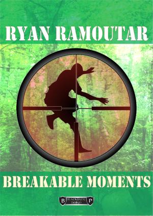 Book cover of Breakable Moments