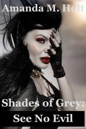 Cover of Shades of Grey III: See No Evil (Book Three in the Shades of Grey Series)