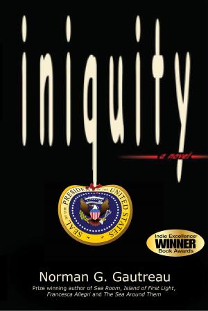 bigCover of the book Iniquity by 