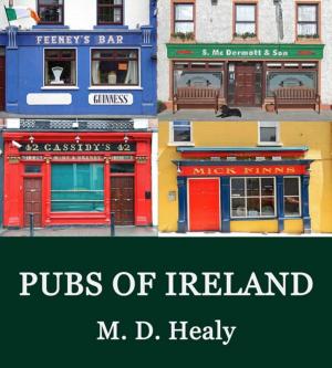 Book cover of Pubs of Ireland