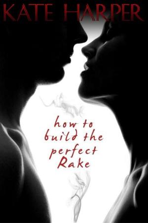 Cover of the book How To Build The Perfect Rake by Kate Harper