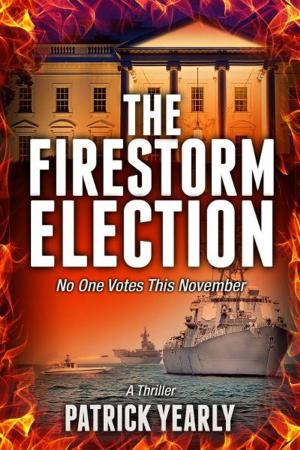 Cover of the book The Firestorm Election by Matthew J. Beier