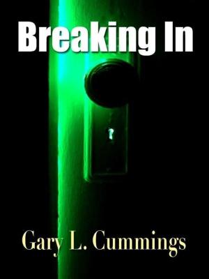 Cover of the book Breaking In by Courtney Vail, Sandra J. Howell