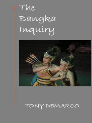 Book cover of The Bangka Inquiry