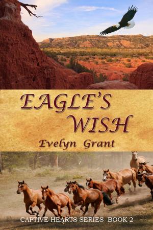 bigCover of the book Eagle's Wish by 